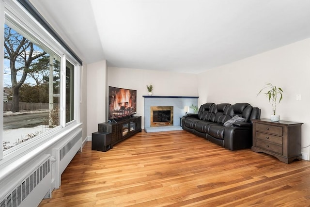 living area featuring radiator, light wood-type flooring, and a fireplace with raised hearth