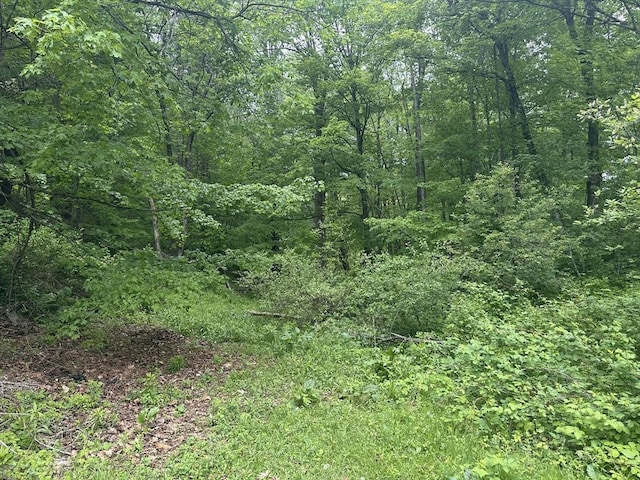 85 Frank Williams Rd, Shelburne, MA 01370