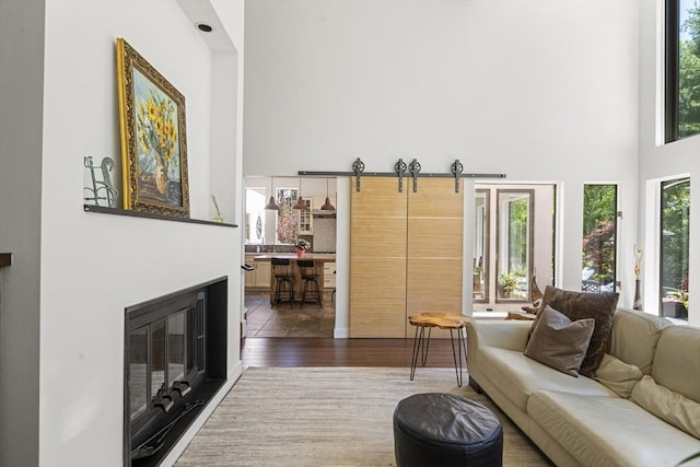 17 Juniper Ln, Framingham, MA 01701 - living room featuring a high ceiling, wood finished floors, and a glass covered fireplace
