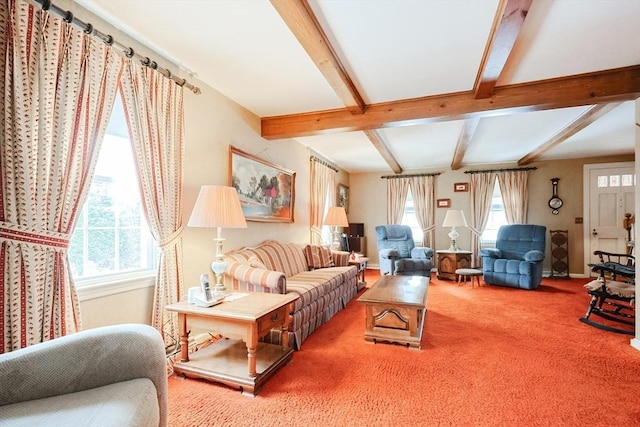 carpeted living room with beam ceiling