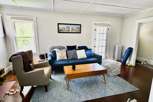 living room with radiator heating unit, wood finished floors, and baseboards