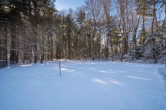 view of yard covered in snow