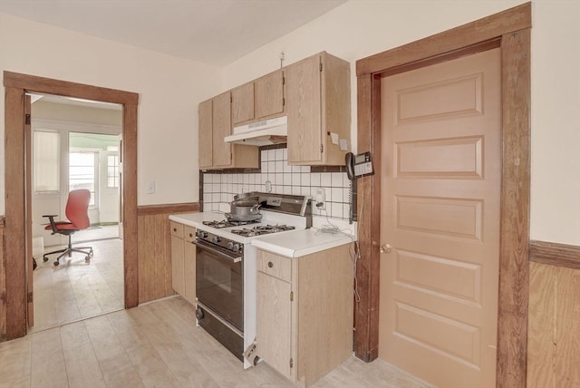 69 Metropolitan Ave, Boston, MA 02131 - kitchen with range with gas stovetop, under cabinet range hood, wainscoting, light countertops, and decorative backsplash