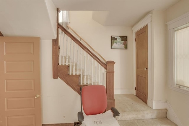 69 Metropolitan Ave, Boston, MA 02131 - stairway with baseboards and carpet flooring