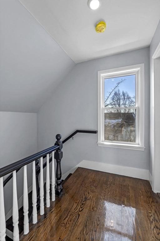 additional living space with dark hardwood / wood-style flooring and lofted ceiling