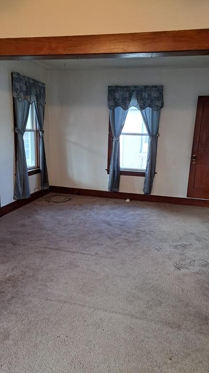 spare room with carpet floors