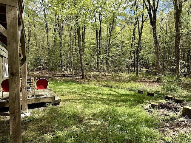 12 Cherry Rd, Goshen, MA 01032 - view of grassy yard