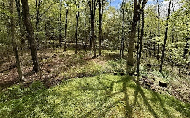 12 Cherry Rd, Goshen, MA 01032 - view of local wilderness