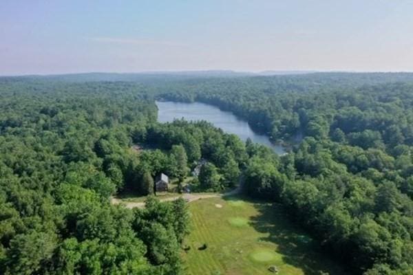 12 Cherry Rd, Goshen, MA 01032 - drone / aerial view of a large body of water and a forest