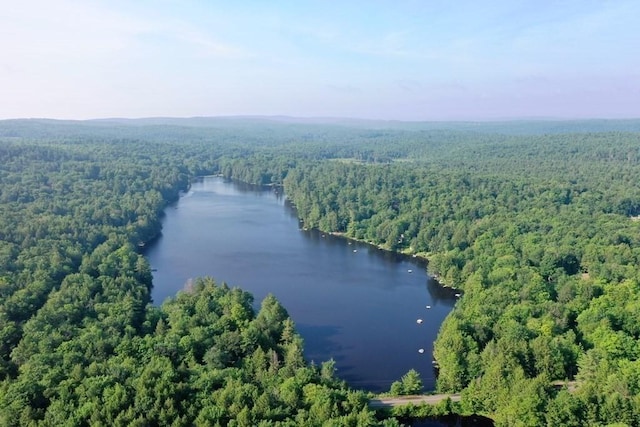 12 Cherry Rd, Goshen, MA 01032 - aerial view of a heavily wooded area and a nearby body of water