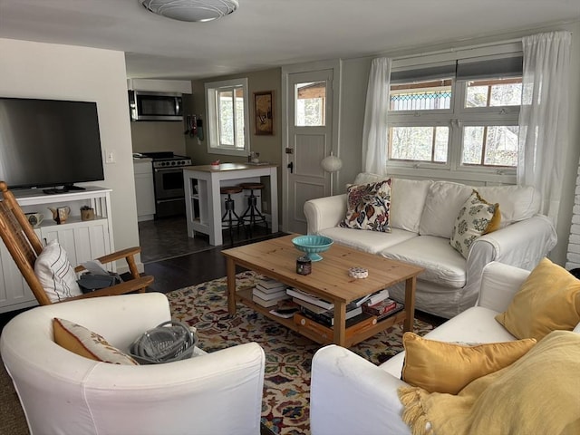 12 Cherry Rd, Goshen, MA 01032 - living room with dark wood-type flooring