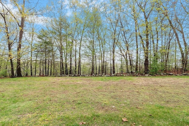93 Towne Hill Rd, Haverhill, MA 01835 - view of green lawn