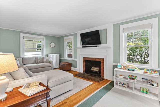 571 Washington St, Winchester, MA 01890 - living area with radiator heating unit, crown molding, a fireplace, and wood finished floors