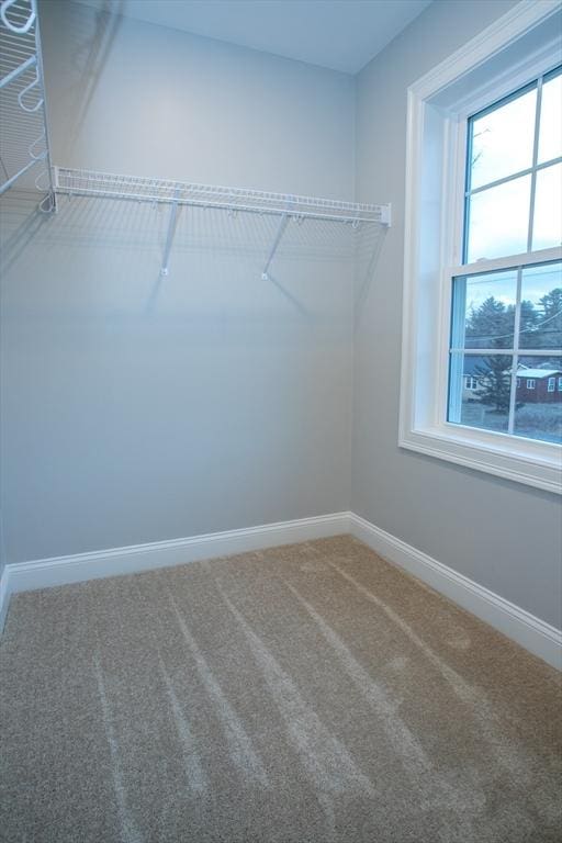 spacious closet with carpet floors