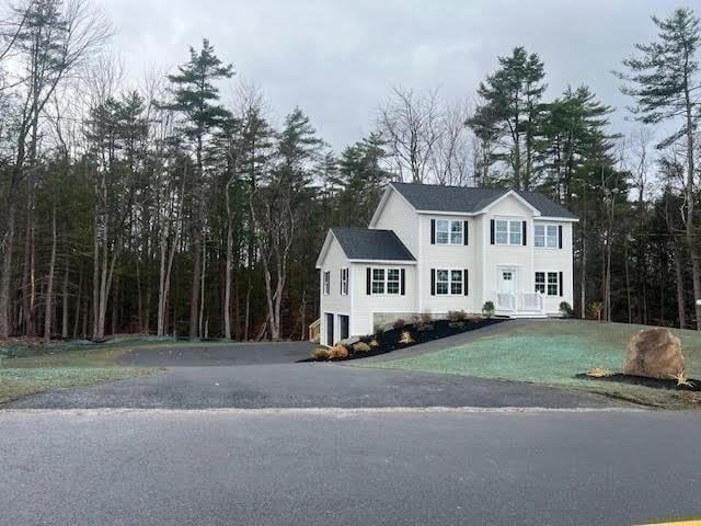 view of front of house with driveway and a garage