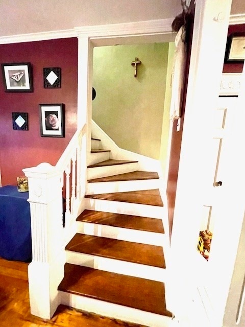 staircase with hardwood / wood-style flooring