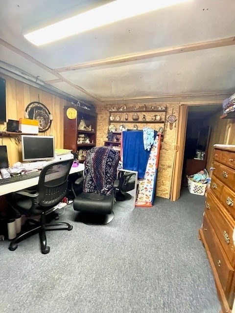 office space with wooden walls and carpet flooring