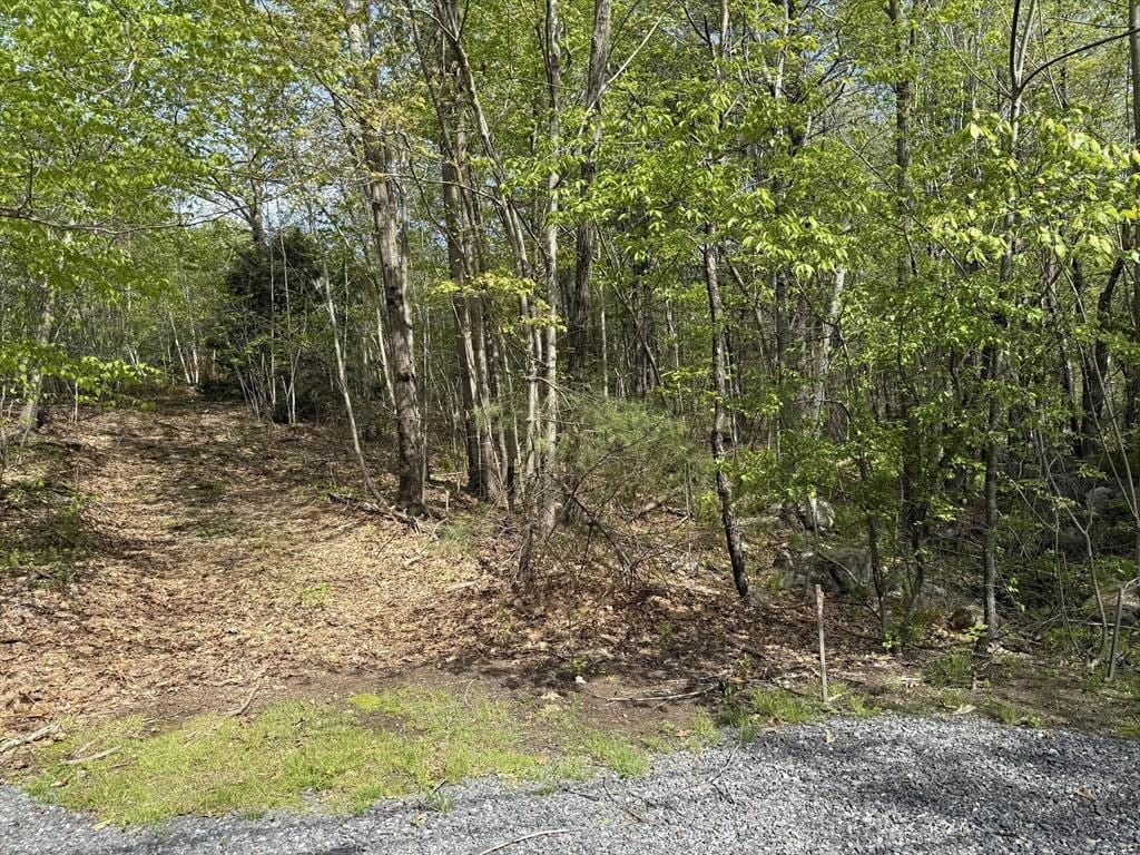 LOT0 Old Westminster Rd, Hubbardston, MA 01452
