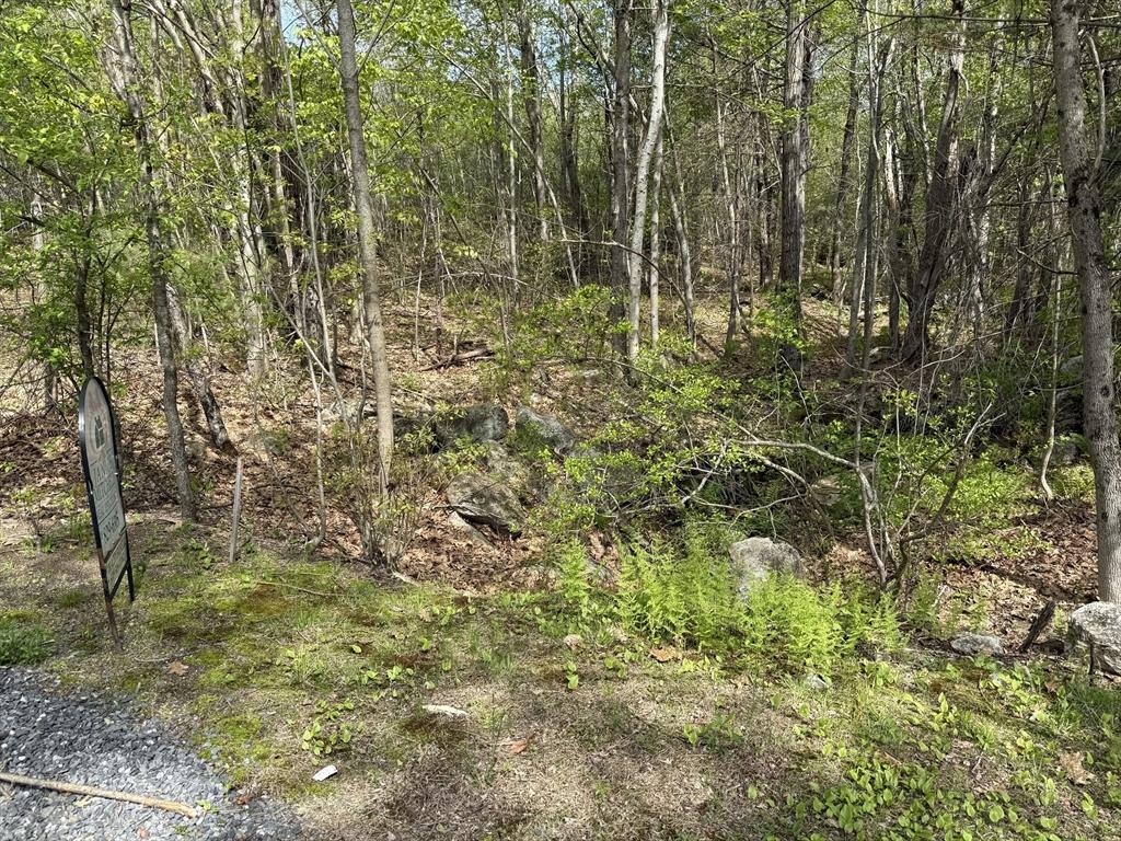 LOT0 Old Westminster Rd, Hubbardston, MA 01452
