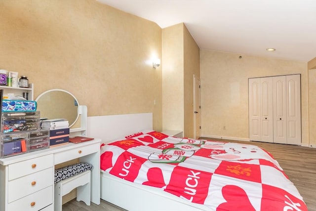 200 Falls Blvd Unit F305, Quincy, MA 02169 - bedroom featuring wood finished floors, a closet, and vaulted ceiling