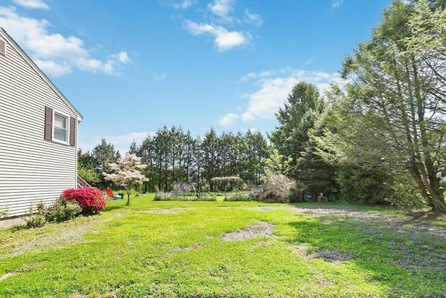 view of yard