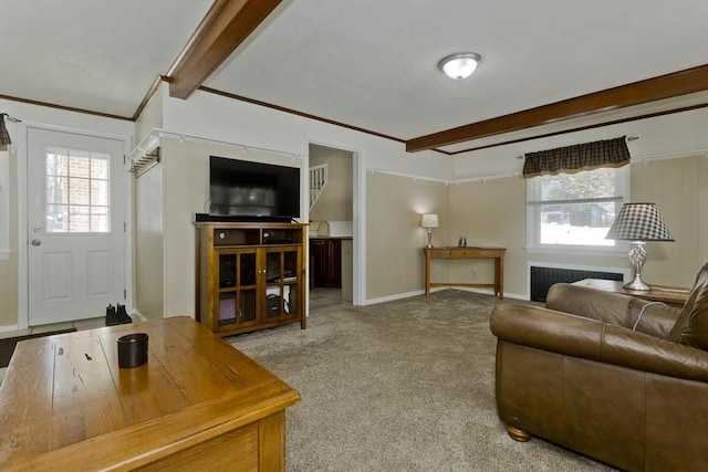 living area with plenty of natural light, radiator, carpet flooring, and beamed ceiling