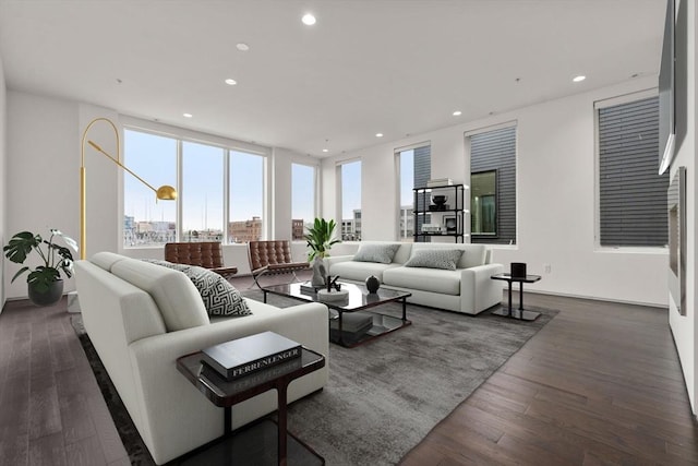 living room featuring dark hardwood / wood-style flooring