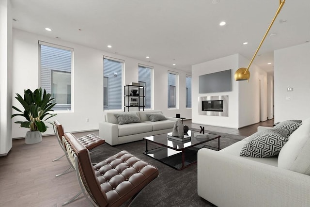 living room with wood-type flooring