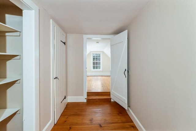 hallway featuring wood-type flooring