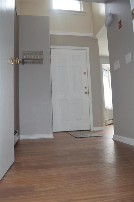 entrance foyer featuring plenty of natural light, wood finished floors, and a baseboard radiator