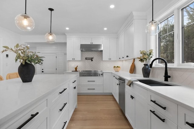 kitchen with stainless steel appliances, a sink, light countertops, under cabinet range hood, and white cabinetry