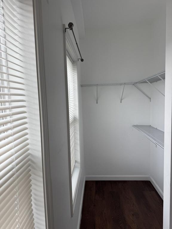 spacious closet with dark hardwood / wood-style flooring