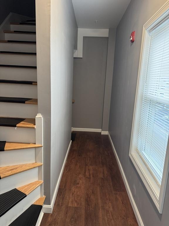 hallway with dark hardwood / wood-style floors