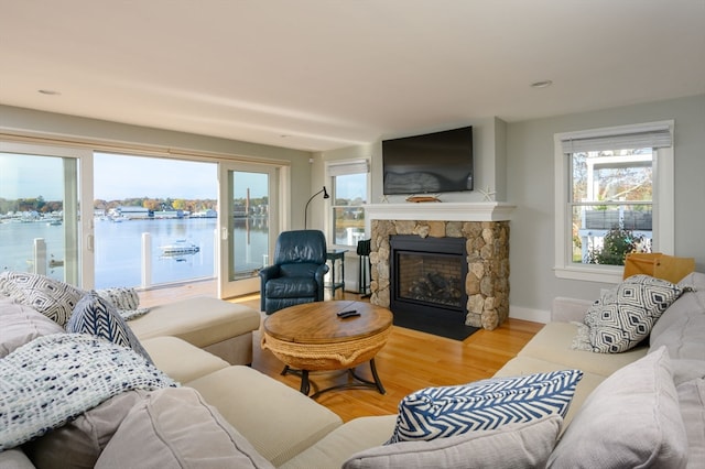 living room with light hardwood / wood-style flooring and a fireplace