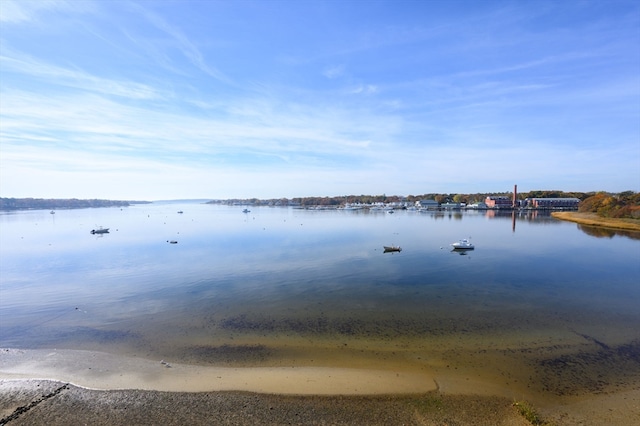 property view of water