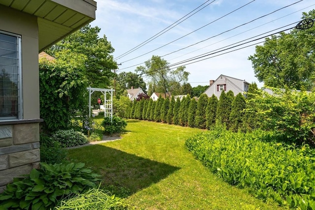 16 Sheldon Ave, Easthampton, MA 01027 - view of green lawn