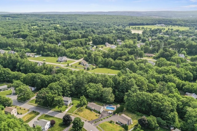 6 Lous Dr, Dudley, MA 01571 - drone / aerial view of a heavily wooded area