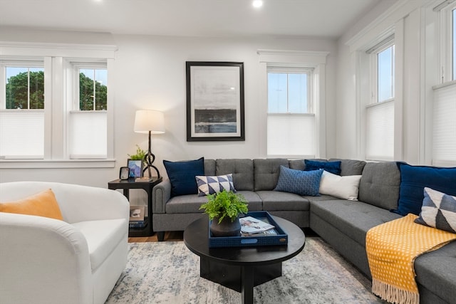 living room with hardwood / wood-style floors