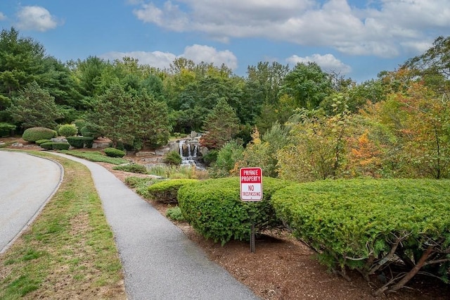 view of home's community with a forest view