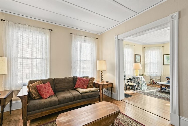 living room with hardwood / wood-style flooring