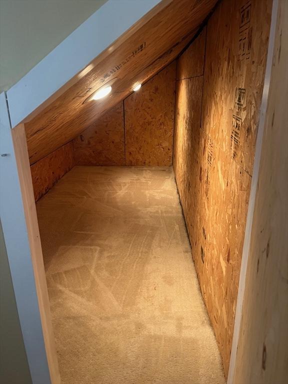 bonus room featuring vaulted ceiling, light carpet, and elevator