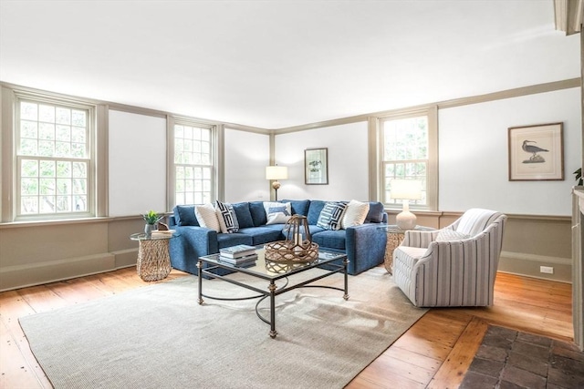 living room with wood-type flooring and ornamental molding