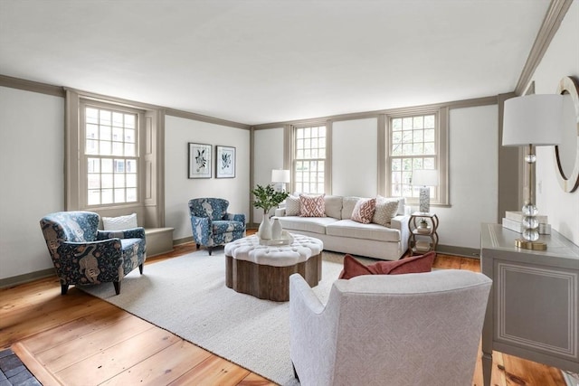 living room with crown molding and wood-type flooring