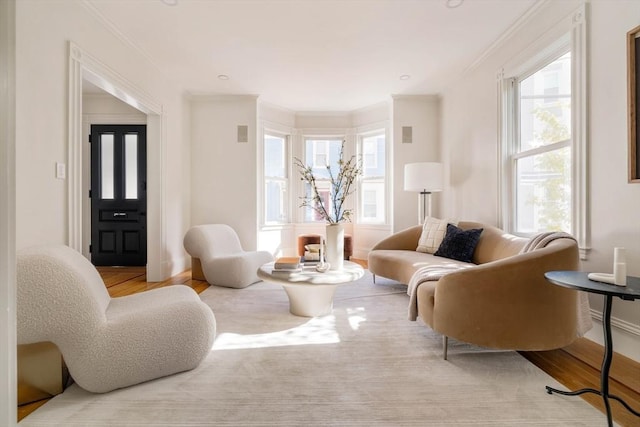 living area featuring baseboards, wood finished floors, and crown molding