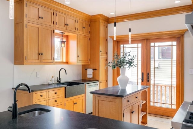 kitchen with plenty of natural light, dark countertops, a sink, and stainless steel dishwasher