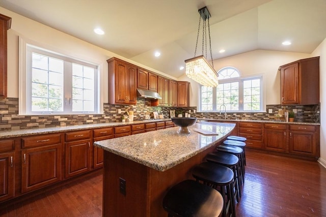 3 Lexington Dr, Walpole, MA 02032 - kitchen featuring under cabinet range hood, a kitchen island, dark wood-type flooring, light stone counters, and a kitchen breakfast bar