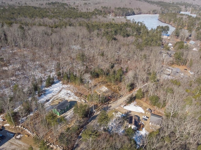 birds eye view of property featuring a view of trees and a water view