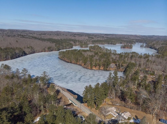 birds eye view of property featuring a view of trees and a water view