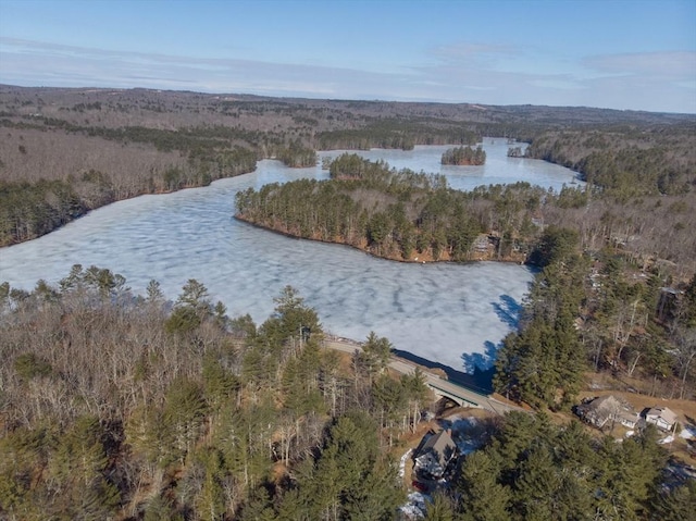 drone / aerial view featuring a wooded view and a water view