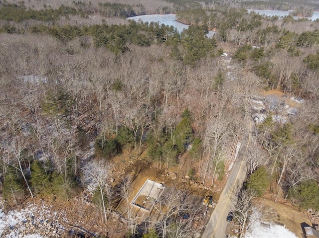 drone / aerial view with a wooded view and a water view